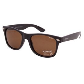 Солнцезащитные очки BRENDA A501L-mat-black-mat-black-brown купить в интернет магазине, модель в наличии, описание, характеристики, фото на сайте